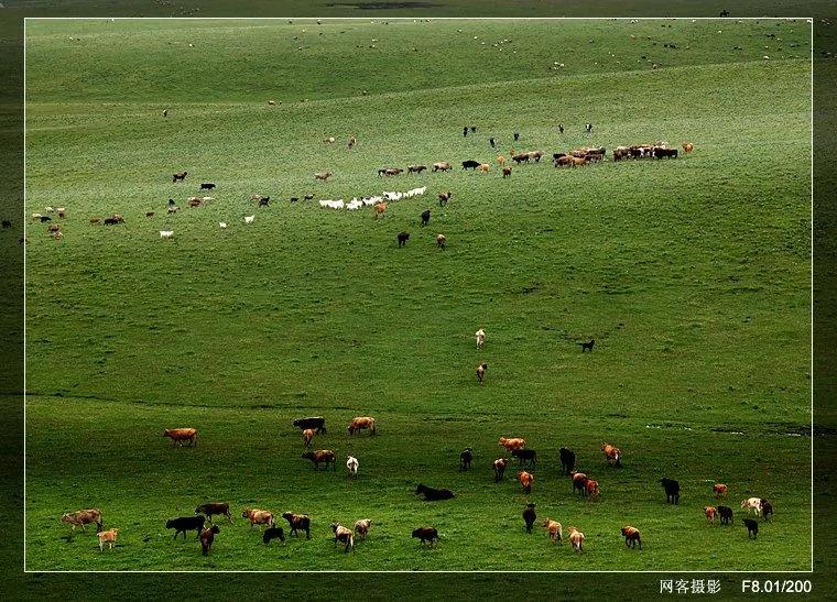 风景摄影：伊犁风物（组图）