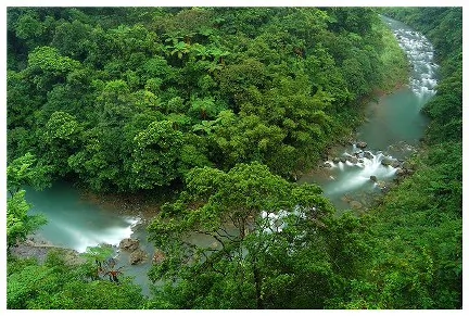 拍的真好&HorizontalLine;美丽的风景（组图）