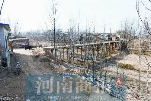 河南癌症村调查触目惊心：污水过河后鱼被呛得跳出水面(图)