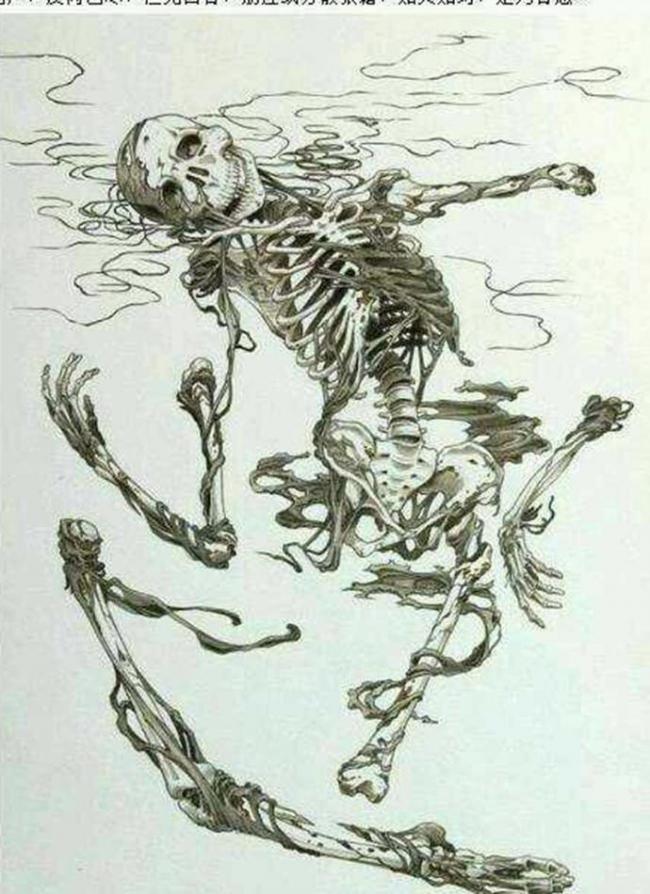 九相图：描画人死后的过程，返璞归真